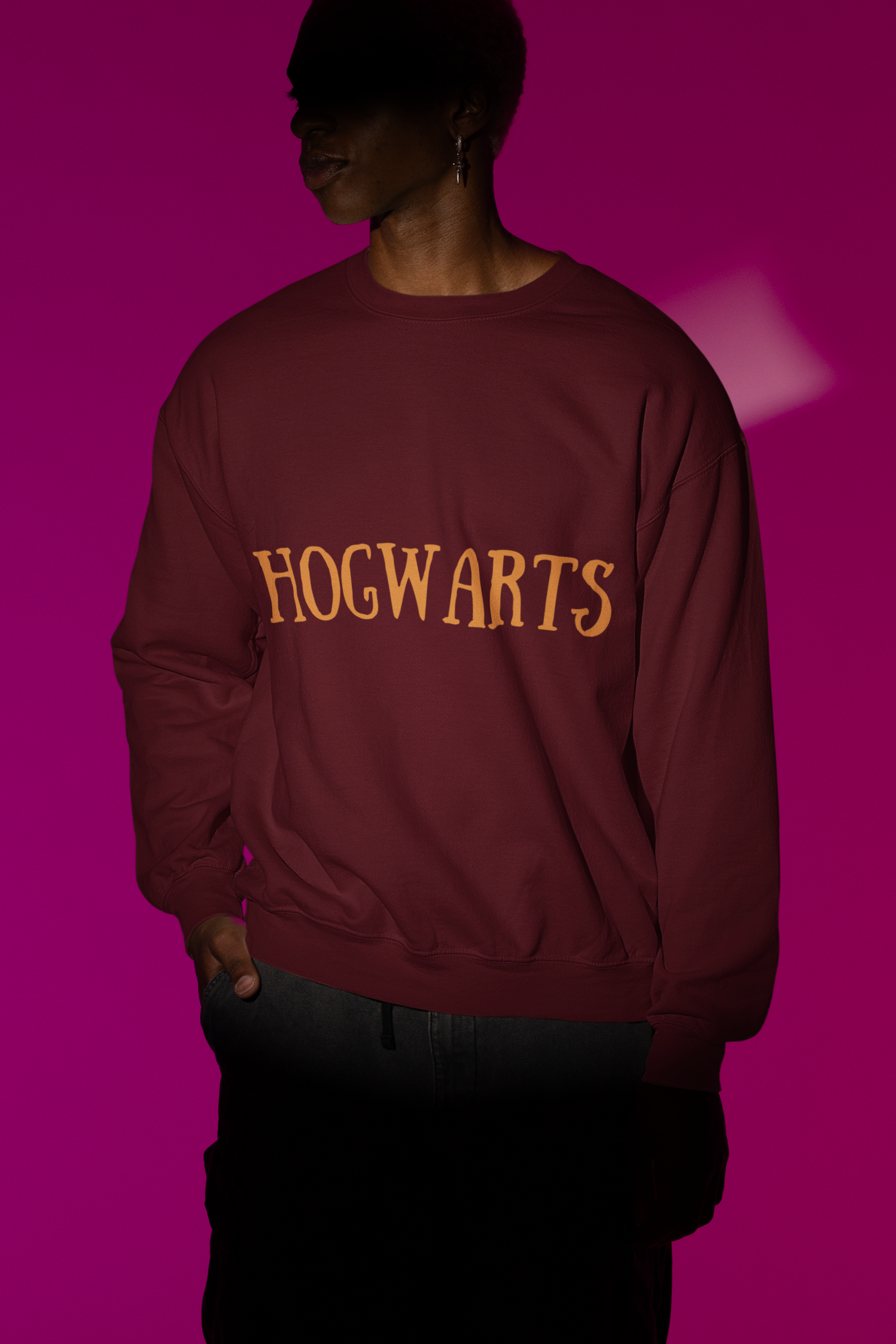 Harry Potter: Hogwarts