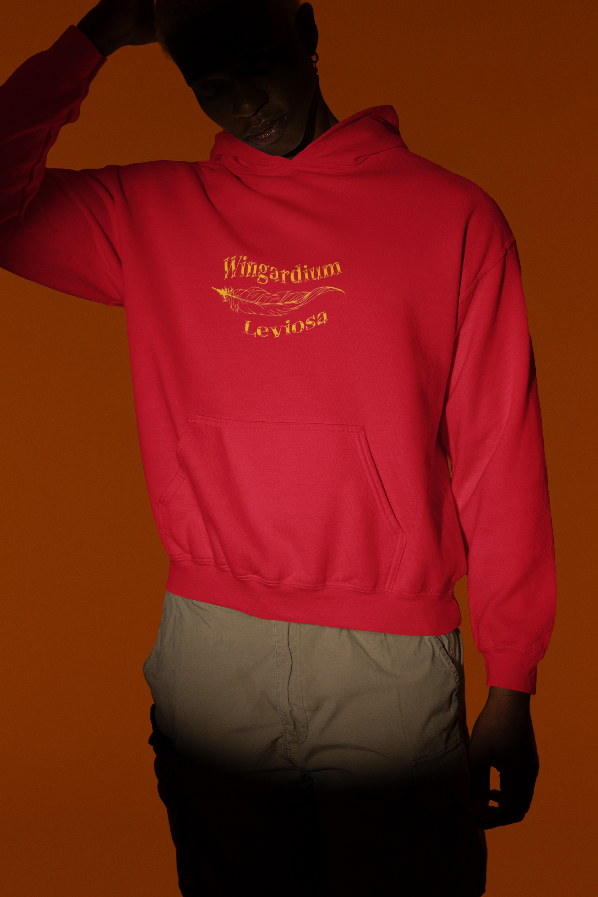 Harry Potter: Wingardium Leviosa