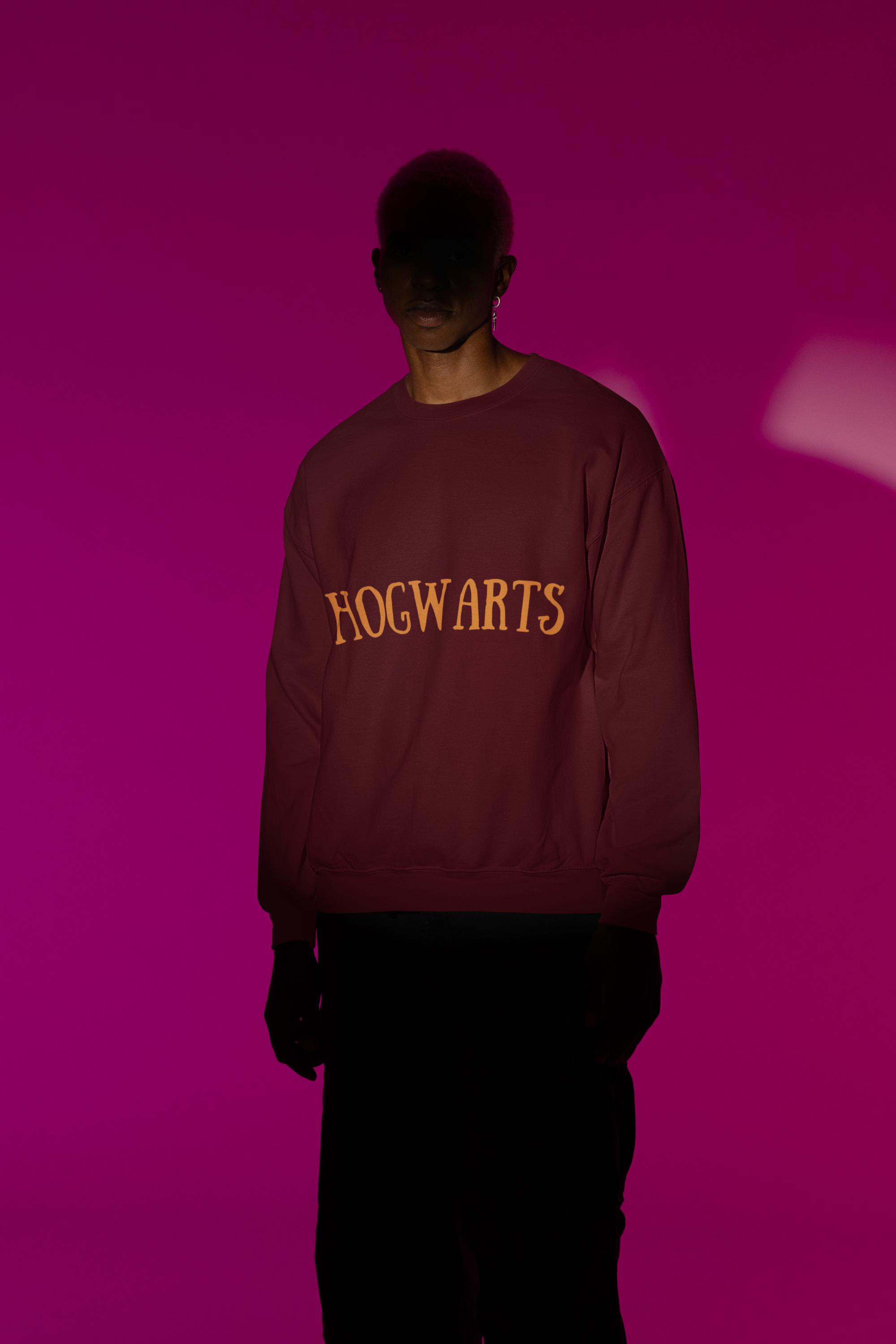 Harry Potter: Hogwarts