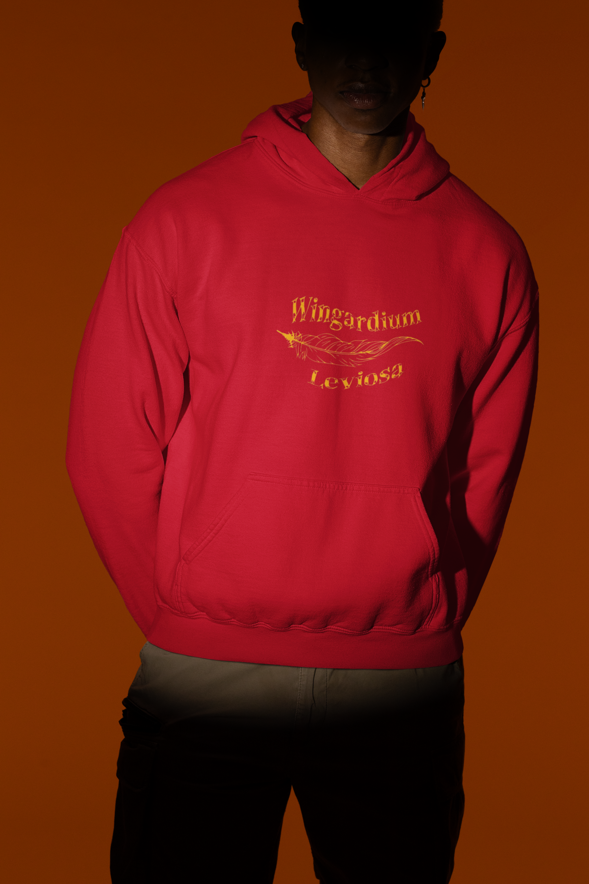 Harry Potter: Wingardium Leviosa