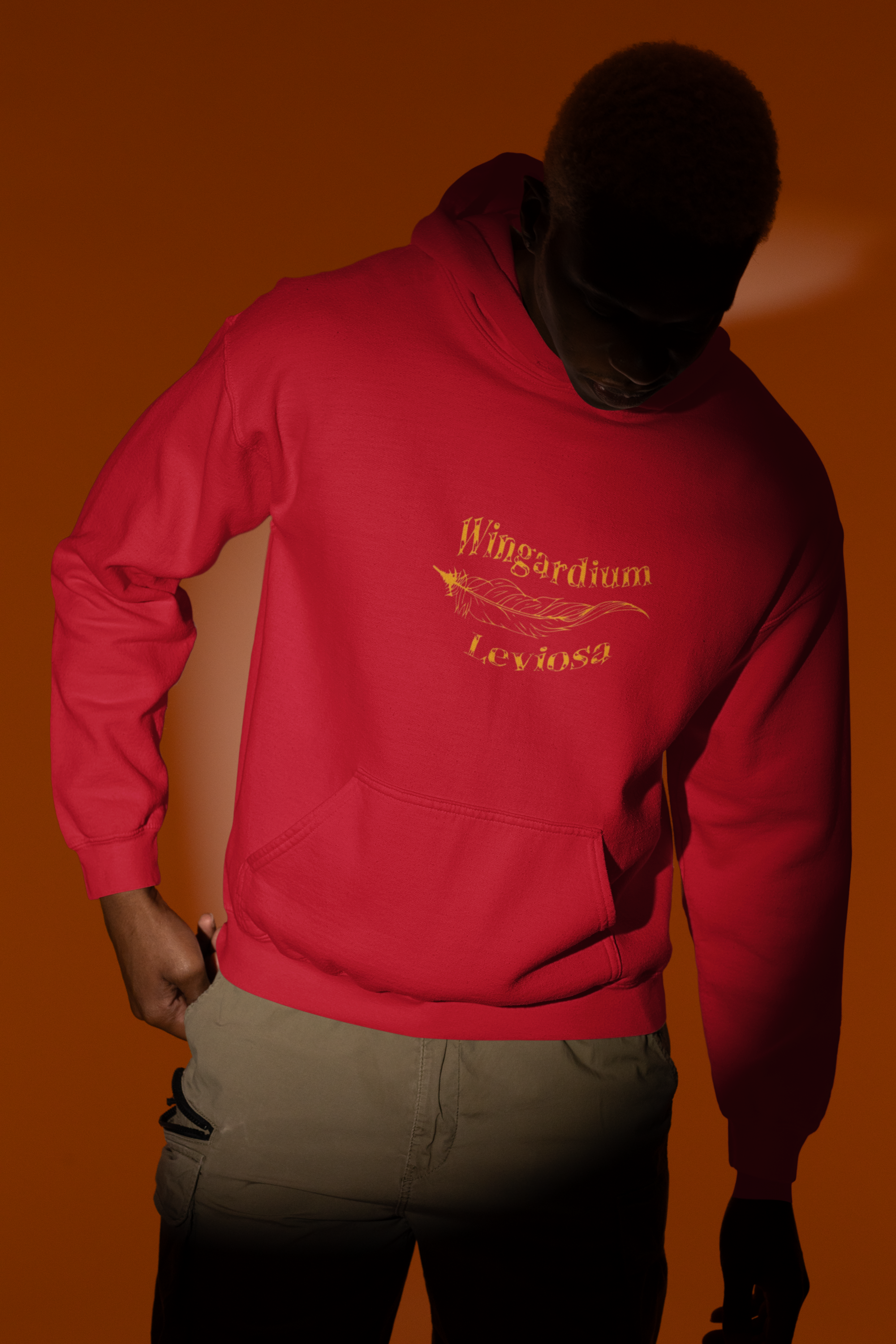 Harry Potter: Wingardium Leviosa